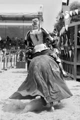 knigth horse