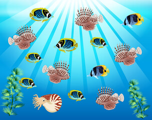 Underwater panorama. Sea underwater, cartoon fish swimming in the ocean, deep coral reef and sand, panoramic vector illustration background