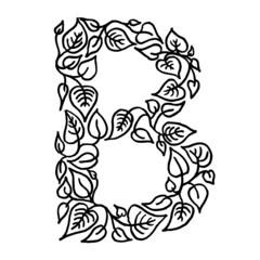 B letter linear drawing.