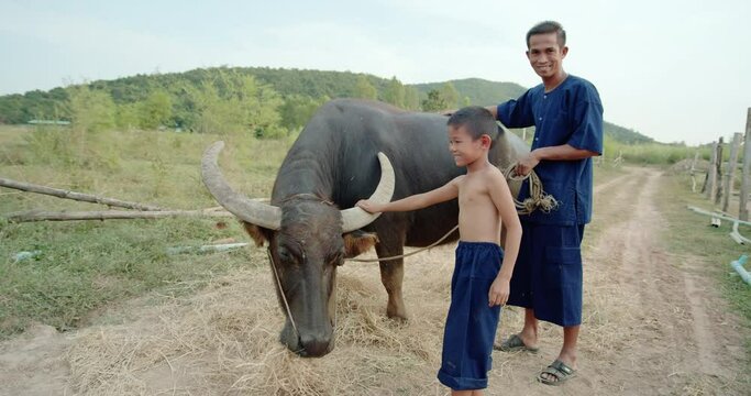 A father in traditional farmer clothes and a son are smiling happily. They are Asian farmer family feeding and caring for buffaloes on the foothills of the countryside.	
