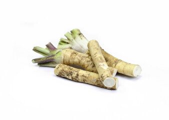 Horseradish root isolated on white background.