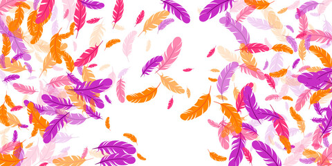 Orange purple pink red feather floating background