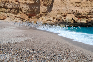 Playa con mar, rocas y gaviotas.