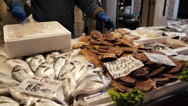 Venice, Italy - Rialto fish, fruit and vegetable market