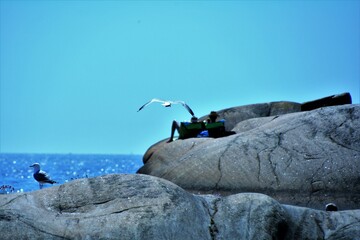 rock climber on the cliff