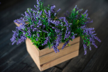 lavender flowers in a wooden flowerpot