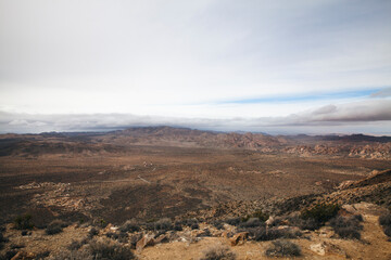 View of mountains and road in Joshua Tree, California