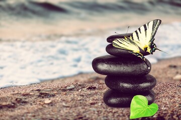Spa stones on the beach and butterfly on background. Spa concept.