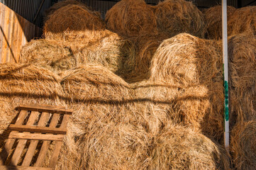 Round bales of hay on a farm stacked in a barn