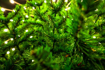 Macro footage of pine twig decorated by the garland filmed from below in the evening outdoors. Horizontal footage of a bushy Christmas fir with flashing lights. Celebrating traditional winter holidays