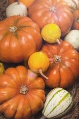 Orange Fall Pumpkins Background Texture on the desk