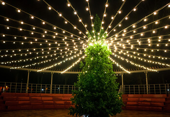 Big Christmas tree stands in the middle of the stage in public park decorated by hanging garland. A huge festive pine with flashing lights is surrounded by wooden steps. Holiday illumination on street