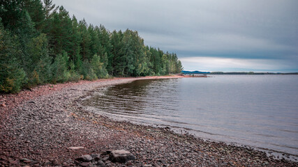 Beach and lakeshore with forest at Lake Siljan in Dalarna, Sweden. - 474283962