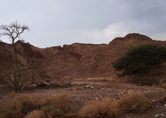 Hiking in twilight in Shehoret mountains, south Israel 