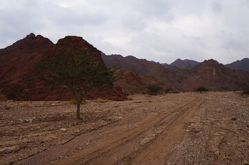 Hiking in twilight in Shehoret mountains, south Israel 