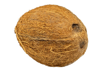 Coconut isolated. Coconuts on white background. Coconut set. Full depth of field.