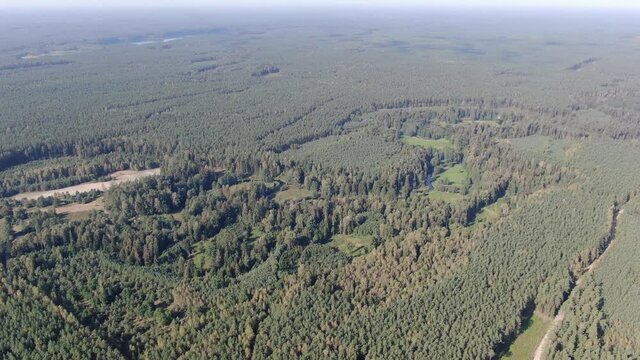 Drone over Augustow Primeval Forest in Poland