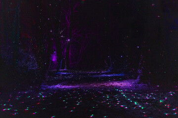 Illuminations of Lake Towada, winter story of light