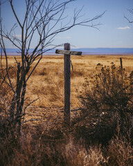 Wooden Cross near a bush on the plains