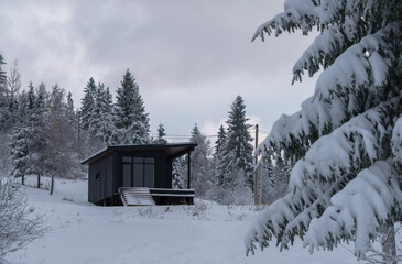 Modern black color cabin hidden in snowy pine forest.
