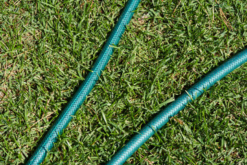 On the green lawn there is a hose for watering plants. High quality photo
