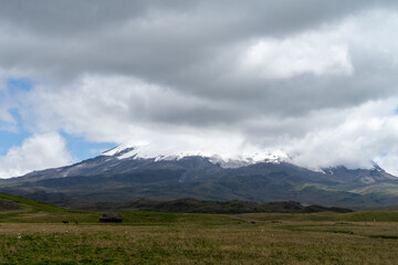 Obraz premium Antisana Ecological Reserve, Antisana Volcano, Ecuador