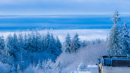 Winter view across valley with high-rise buildings poking through cloud inversion on valley floor...