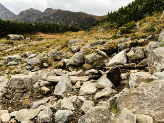 rocks in the mountain