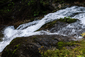 waterfall in the forest