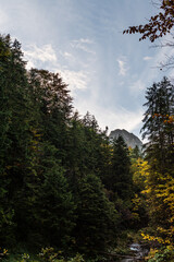 autumn in the mountains