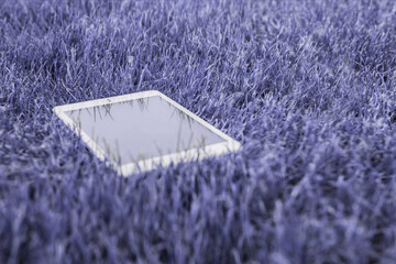 Very Peri trend color 2022. Top view of white tablet pc purple toned colour grass. Digital...