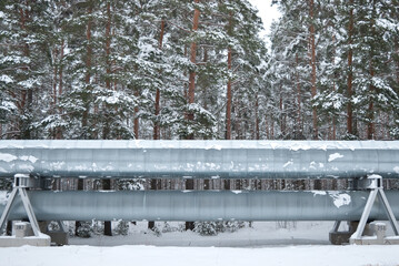 pipeline in the forest in winter. in the photo, the pipeline against the background of a winter...