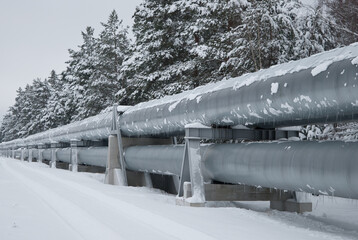 pipeline in the forest in winter. in the photo, the pipeline against the background of a winter...