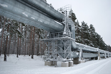 pipeline in the forest in winter. in the photo, the pipeline against the background of a winter...