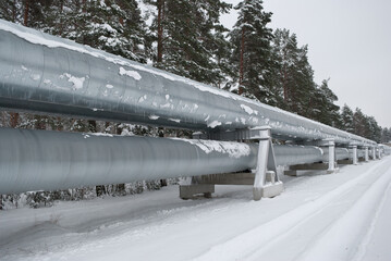pipeline in the forest in winter. in the photo, the pipeline against the background of a winter...