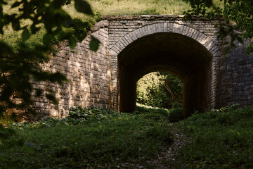An old stone railroad tunnel in the middle of a green thicket