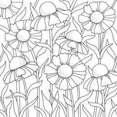 Chamomile flowers. Line art drawing. Coloring page. vector black white contour simple illustration of flowers. Gerberas. 