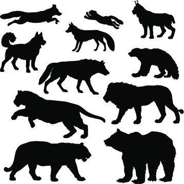 a set of silhouettes of predatory animals isolated on a white background.