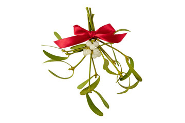 Mistletoe bunch with red satin bow isolated on white
