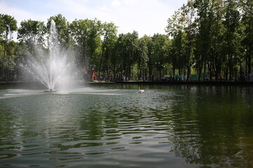 a beautiful large park with well-groomed animals and a river in the city