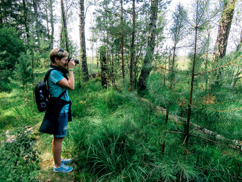 A woman photographs nature in the forest in the summer