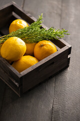 Dried Lemons in a Wooden Box With Cypress on Top