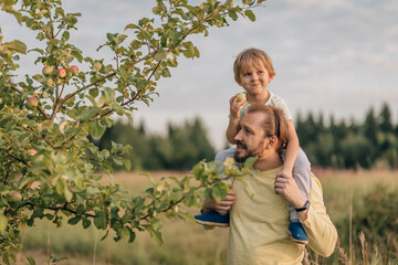 Family, father and son in field, fatherhood.