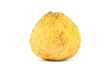 Santol Fruit on white isolated Background