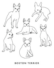 Boston Terrier Line Art Illustration Set