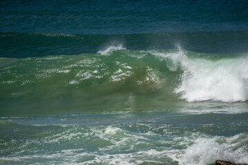 male surfer catching waves surfing at south coast beach on a bright warm sunny day on clear blue water