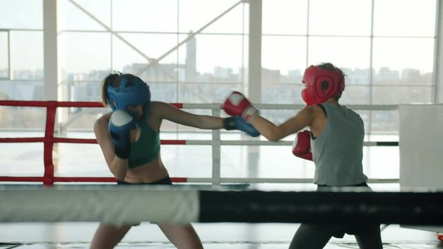 Slow motion of female boxers wearing protective uniform sparring indoors in modern gym focused on practice. Youth lifestyle and sports activities concept.
