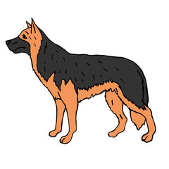 Vector hand drawn doodle sketch colored shepherd dog isolated on white background