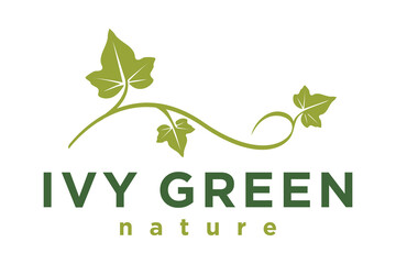 Vine typography with Ivy leaf logo design - obrazy, fototapety, plakaty