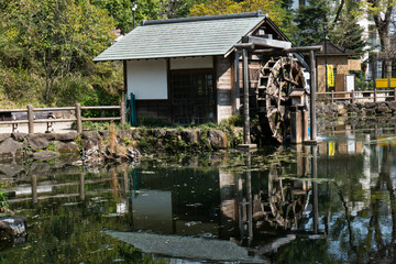 Fototapeta na wymiar old mill in the river, watermill in the pond in the park, Japanese watermill